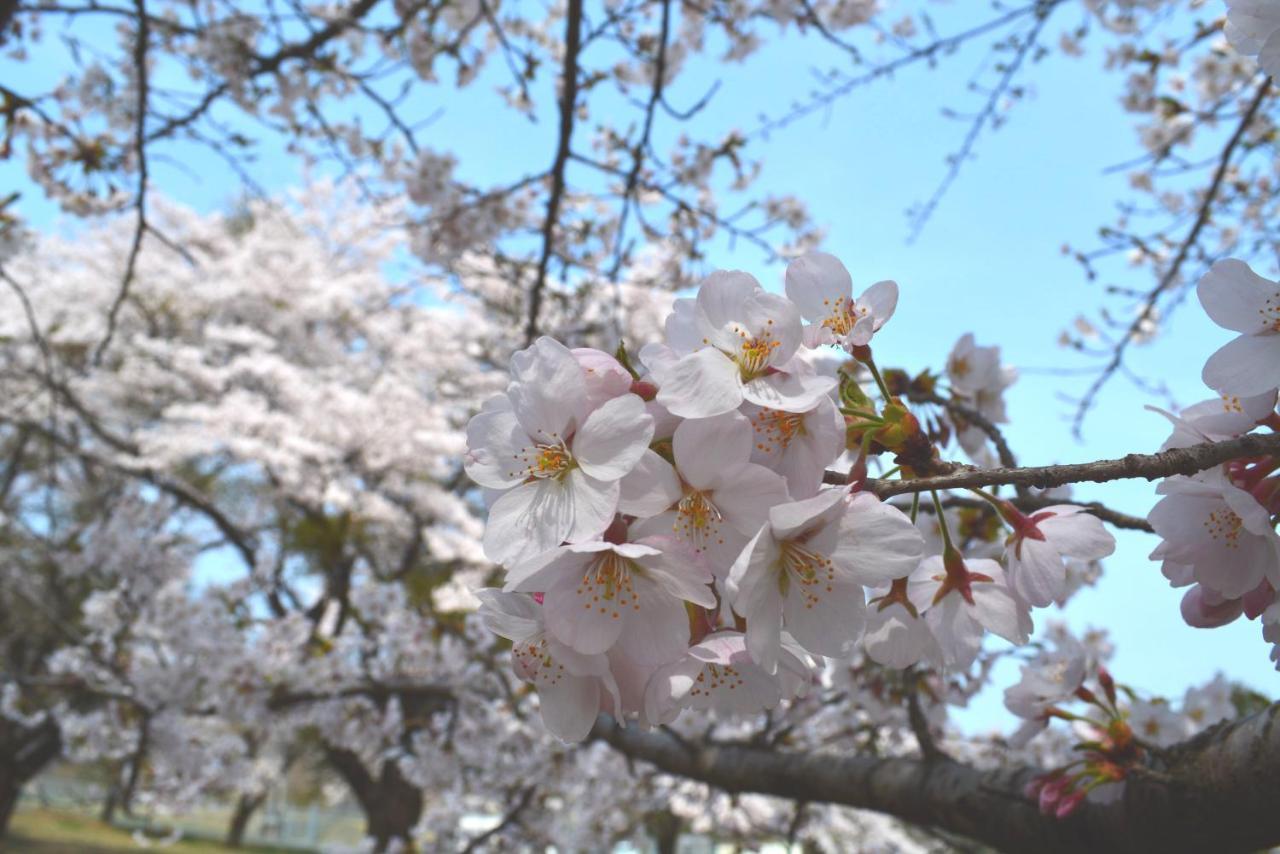 Fukuichi Hotel Shibukawa Luaran gambar